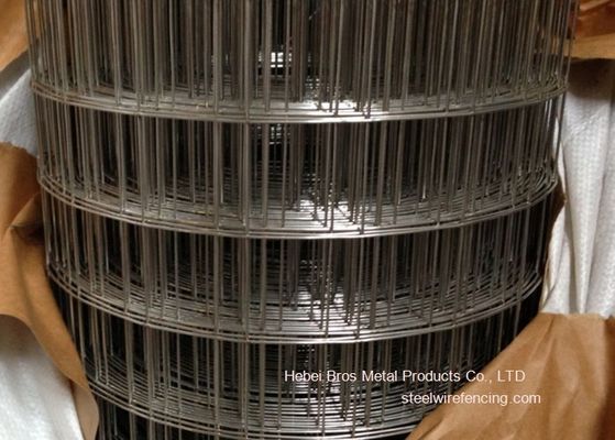 چین 304 3/4 مش سیم ساخته شده از جنس استنلس استیل برای ساخت و ساز، ضد خوردگی تامین کننده